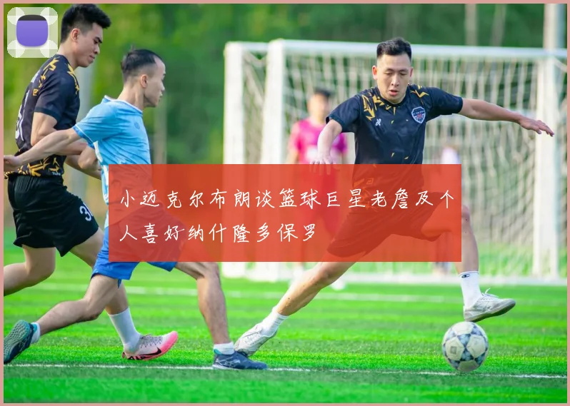 小迈克尔布朗谈篮球巨星老詹及个人喜好纳什隆多保罗