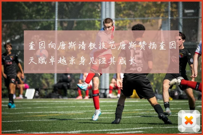 奎因向唐斯请教技艺唐斯赞扬奎因天赋卓越亲身见证其成长